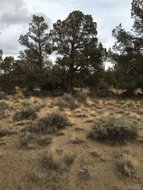 64085 Pioneer Loop, Bend, OR 97701 photo 16