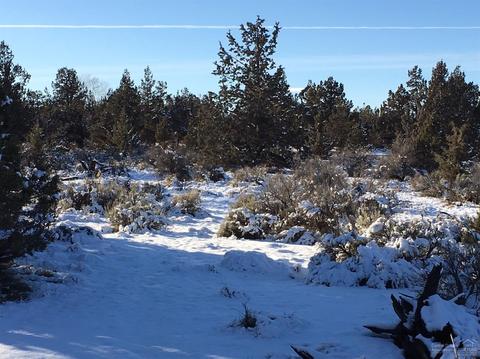 64085 Pioneer Loop, Bend, OR 97701 photo 7