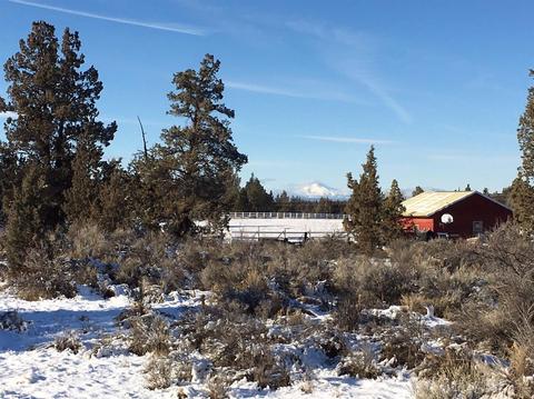 64085 Pioneer Loop, Bend, OR 97701 photo 6