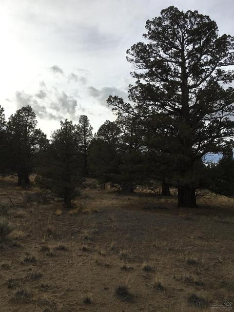 64085 Pioneer Loop, Bend, OR 97701 photo 13