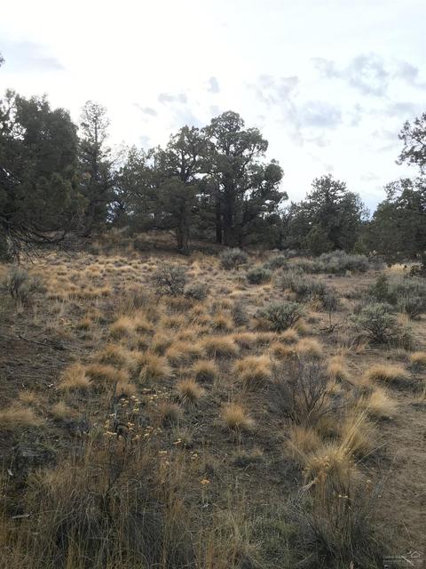 64085 Pioneer Loop, Bend, OR 97701 photo 15