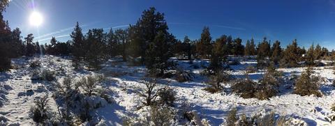 64085 Pioneer Loop, Bend, OR 97701 photo 8