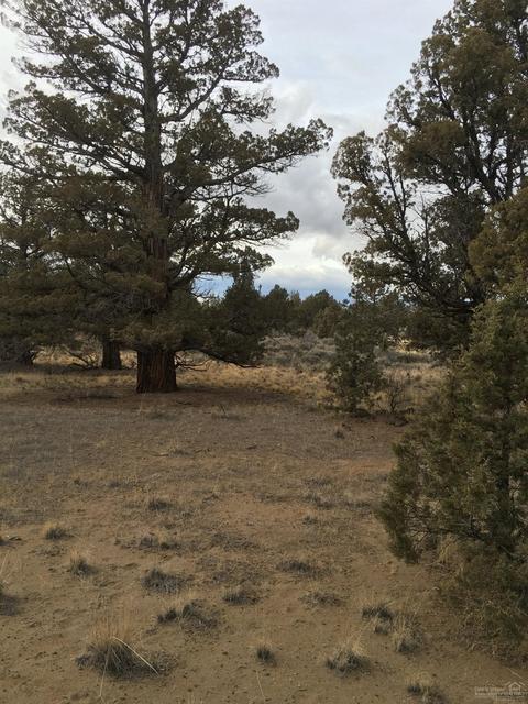 64085 Pioneer Loop, Bend, OR 97701 photo 14