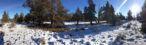 64085 Pioneer Loop, Bend, OR 97701 photo 10