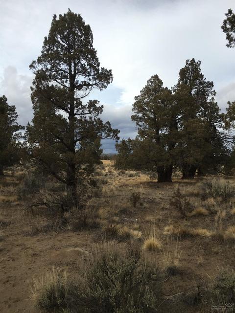 64085 Pioneer Loop, Bend, OR 97701 photo 12