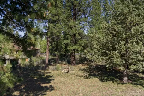 61746 Tam Mcarthur Loop, Bend, OR 97702 photo 10