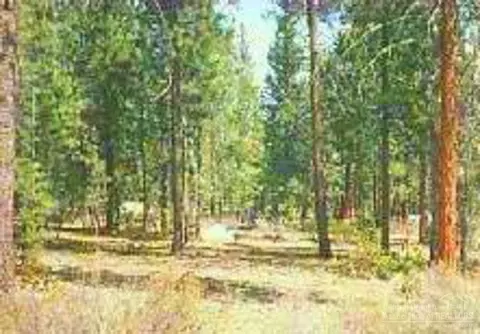 52348 Red Currant, La Pine, OR 97739 photo 2