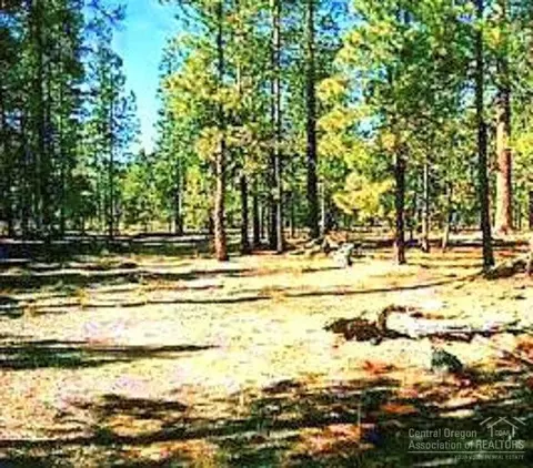 52348 Red Currant, La Pine, OR 97739 photo 3