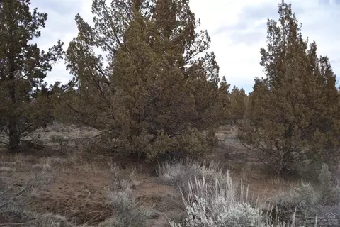 22085 Neff, Bend, OR 97701 photo 10