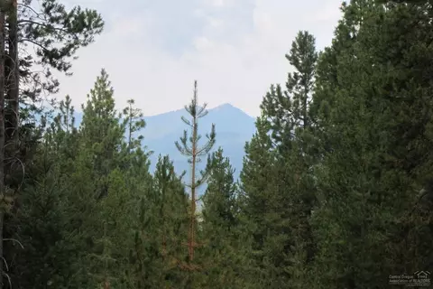 140902 Red Cone Dr, Crescent Lake, OR 97733 photo 4
