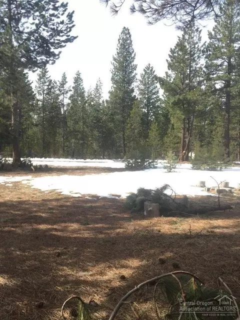 56771 Stellar Dr, Bend, OR 97707 photo 11