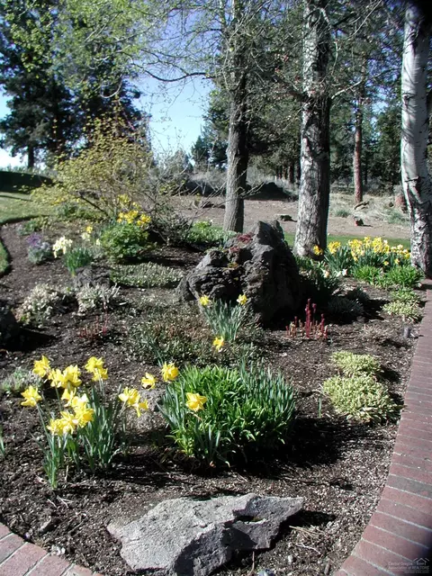 63635 NW Johnson Rd, Bend, OR 97703 photo 10
