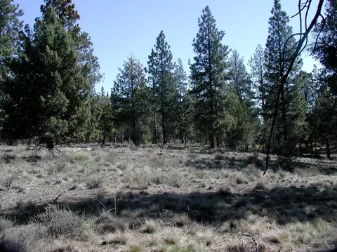 63655 NW Johnson Rd, Bend, OR 97703 photo 2