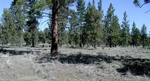 63655 NW Johnson Rd, Bend, OR 97703 photo 4