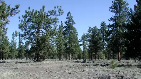 63655 NW Johnson Rd, Bend, OR 97703 photo 1