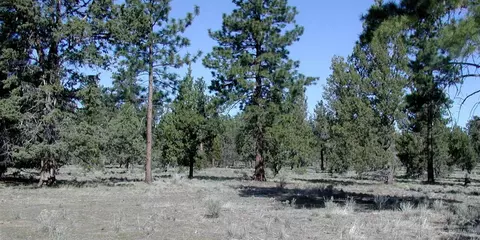 63655 NW Johnson Rd, Bend, OR 97703 photo 5