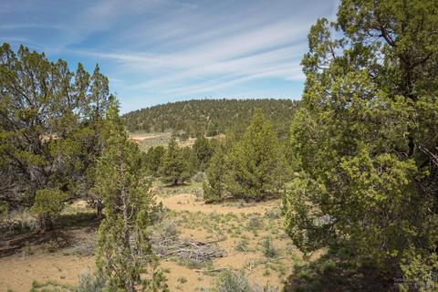 64555 Research Rd, Bend, OR 97701 photo 17