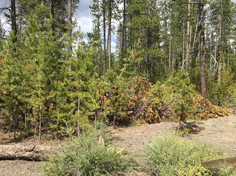 16020 Davis Ave, La Pine, OR 97739 photo 3