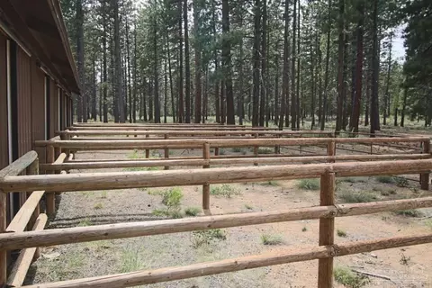 55025 Forest Ln, Bend, OR 97707 photo 6