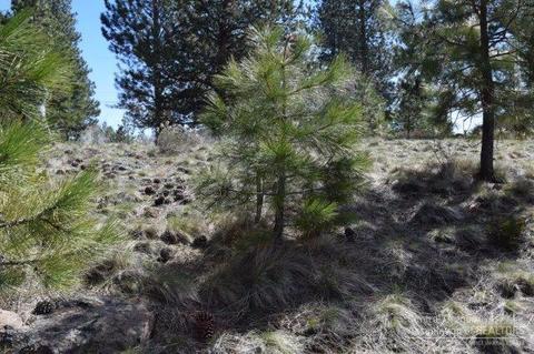 60745 River Bend Dr, Bend, OR 97702 photo 11