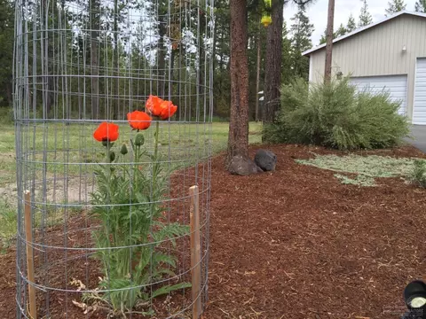 55914 Black Duck Rd, Bend, OR 97707 photo 4