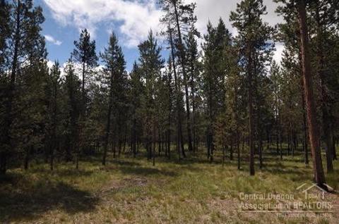 17407 Killdeer Dr, Bend, OR 97707 photo 4