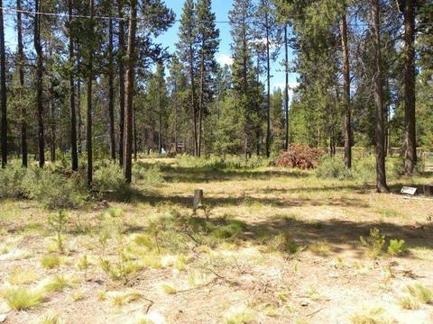 54789 Wolf St, Bend, OR 97707 photo 19