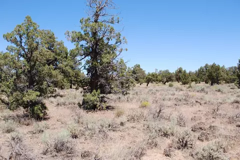 63465 Alpine Trl, Bend, OR 97701 photo 14