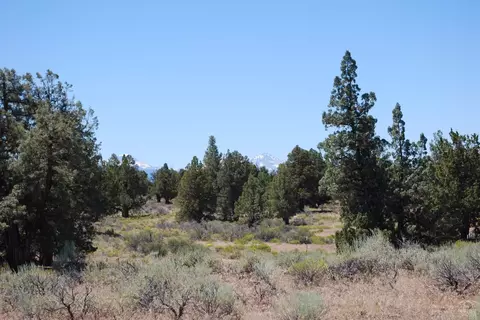 63465 Alpine Trl, Bend, OR 97701 photo 6
