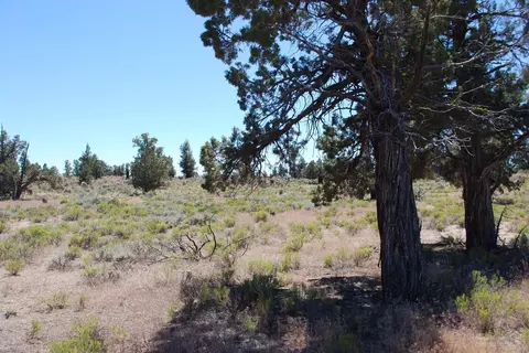 63465 Alpine Trl, Bend, OR 97701 photo 16