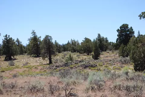63465 Alpine Trl, Bend, OR 97701 photo 15
