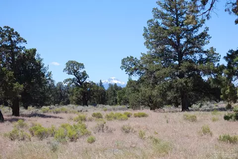63465 Alpine Trl, Bend, OR 97701 photo 4