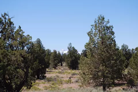 63465 Alpine Trl, Bend, OR 97701 photo 3
