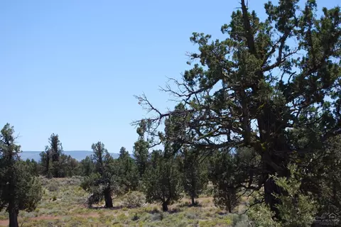 63465 Alpine Trl, Bend, OR 97701 photo 5