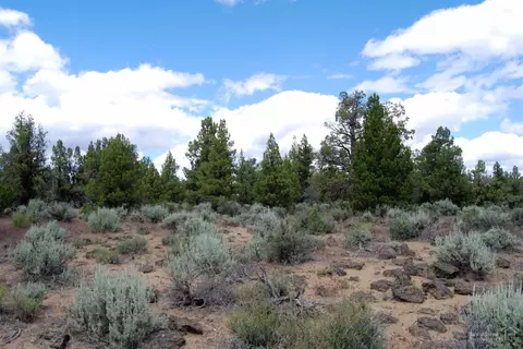 61430 Gribbling Rd, Bend, OR 97701 photo 11