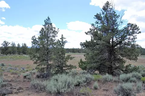 61430 Gribbling Rd, Bend, OR 97701 photo 10