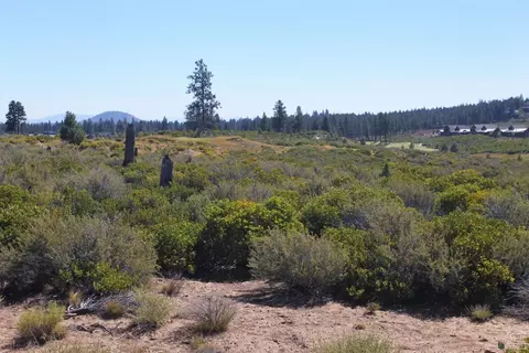 61396 Skene Trl, Bend, OR 97702 photo 2