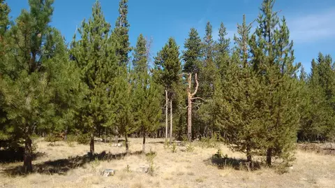 16048 Dawn Rd, La Pine, OR 97739 photo 22