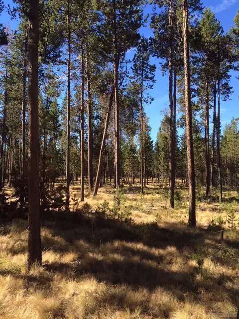 17411 Killdeer Dr, Bend, OR 97707 photo 4