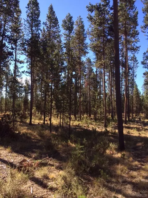 17411 Killdeer Dr, Bend, OR 97707 photo 2