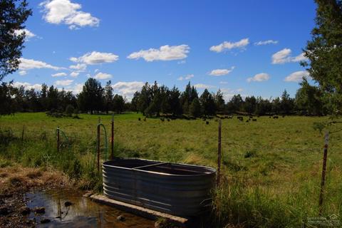 23250 Walker Rd, Bend, OR 97701 photo 5