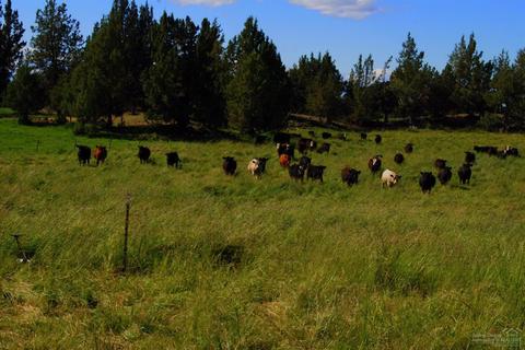 23250 Walker Rd, Bend, OR 97701 photo 6