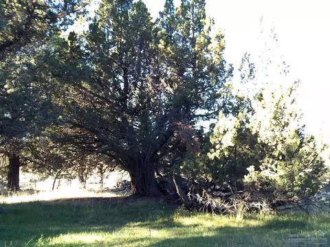 22875 Hwy 20, Bend, OR 97701 photo 8