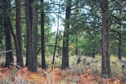 61646 Rowallan Ct, Bend, OR 97702 photo 24