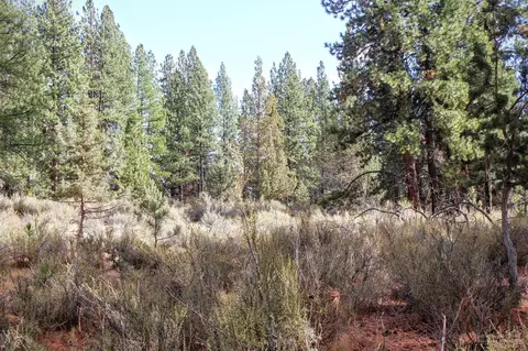 61646 Rowallan Ct, Bend, OR 97702 photo 10