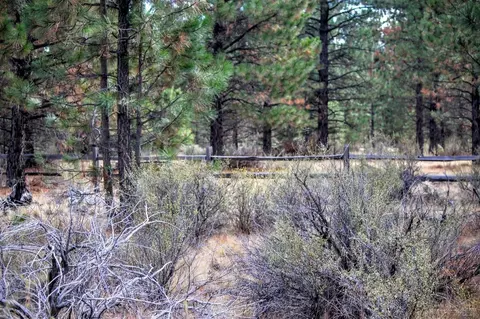 61646 Rowallan Ct, Bend, OR 97702 photo 15