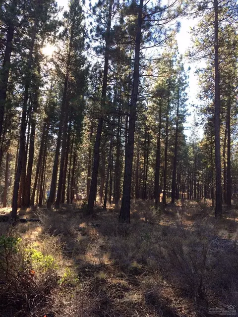 16857 Indio, Bend, OR 97707 photo 2