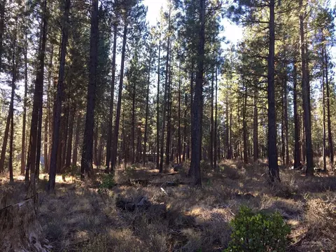 16857 Indio, Bend, OR 97707 photo 4