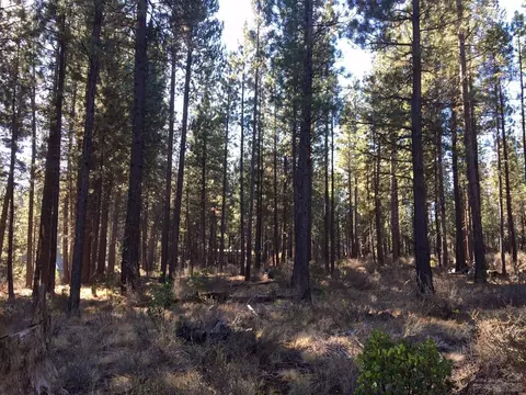 16857 Indio, Bend, OR 97707 photo 3