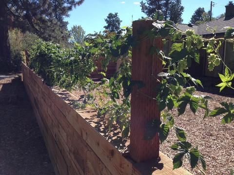 1609 NE 8th St, Bend, OR 97701 photo 22